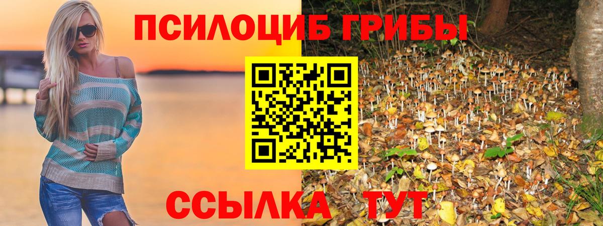 Апрелевка  Псилоцибиновые грибы Psilocybine cubensis  Галлюциногенные грибы MAGIC MUSHROOMS  Вход с VPN 